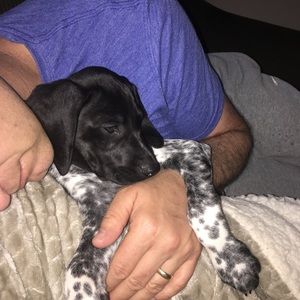 Meet your Posher, Michele